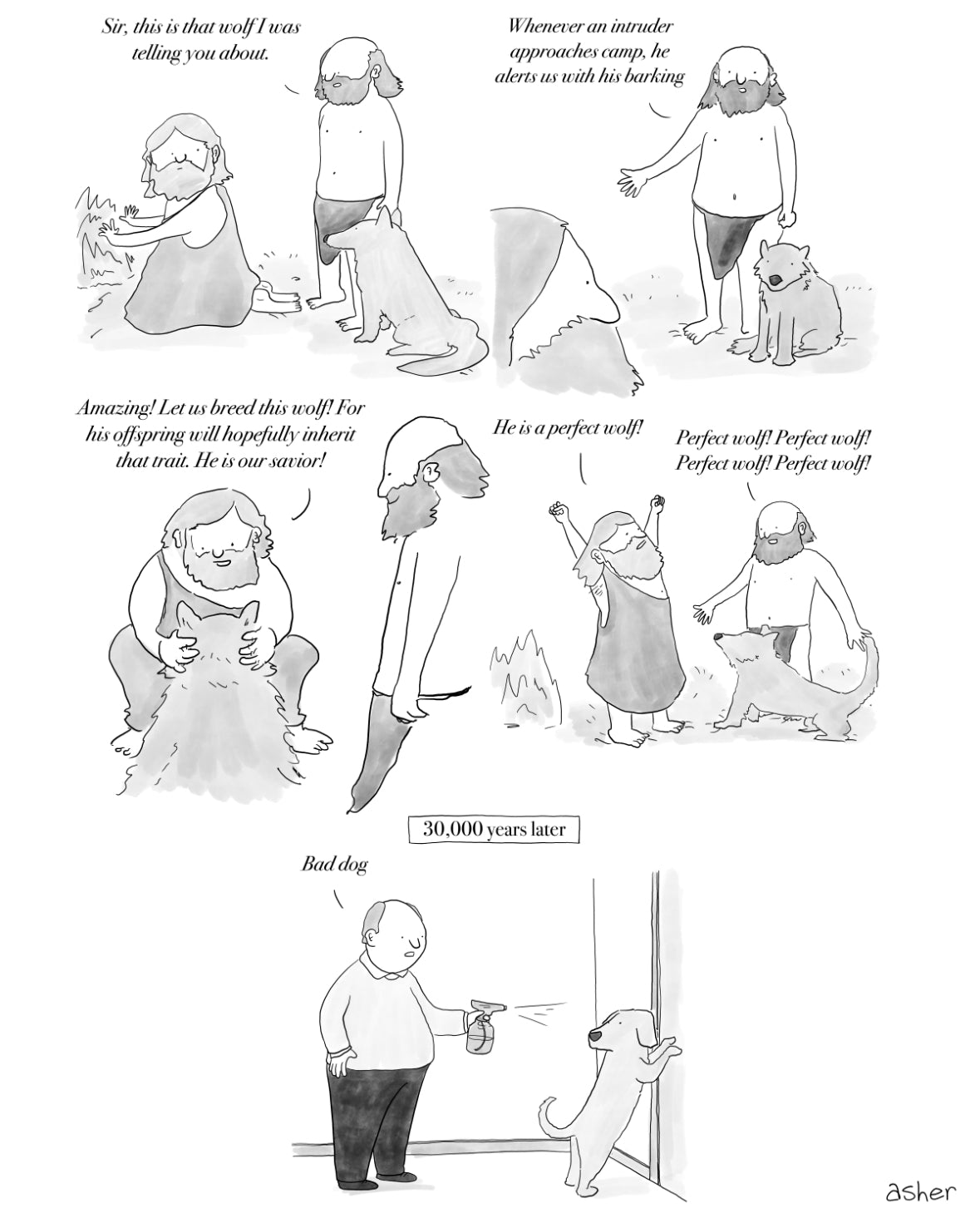 Perfect Wolf Art Print